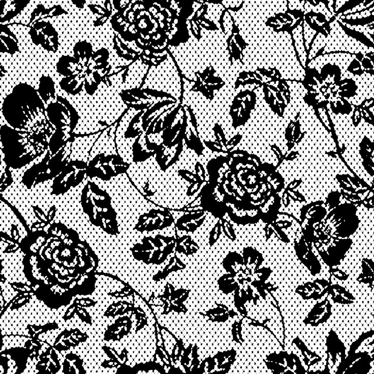 Cover photo